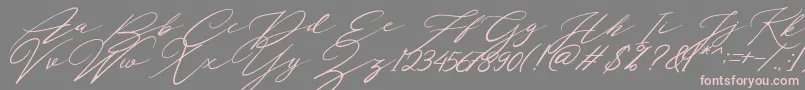 Localghost-Schriftart – Rosa Schriften auf grauem Hintergrund