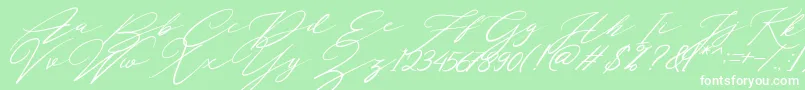 Localghost Font – White Fonts on Green Background