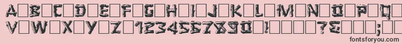 LOGGER Font – Black Fonts on Pink Background