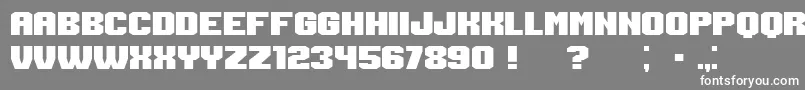 フォントLogin – 灰色の背景に白い文字