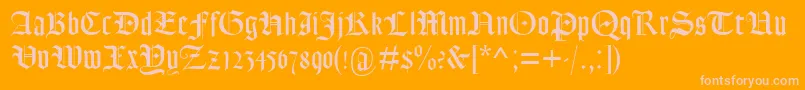 Lohengrin Font – Pink Fonts on Orange Background