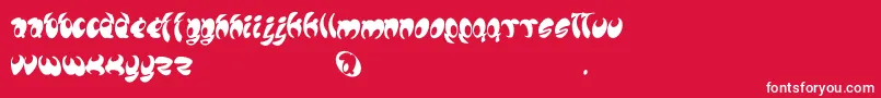 Lomax Font – White Fonts on Red Background