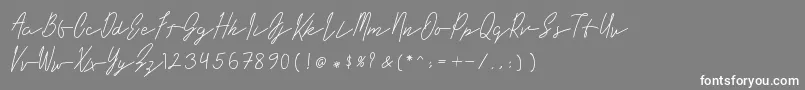 フォントLong Liner – 灰色の背景に白い文字