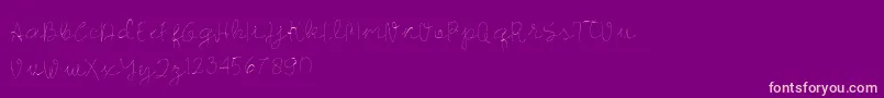 Longhair Font – Pink Fonts on Purple Background