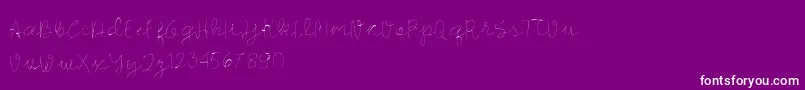 Longhair-Schriftart – Weiße Schriften auf violettem Hintergrund