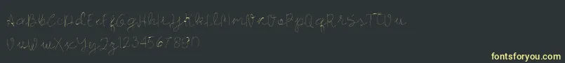 Longhair Font – Yellow Fonts on Black Background