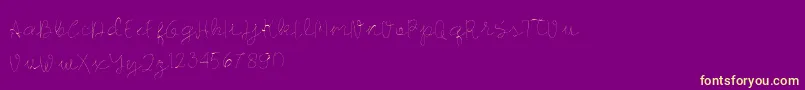 Longhair-Schriftart – Gelbe Schriften auf violettem Hintergrund