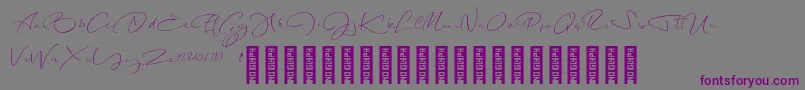 LongNightDemo Regular Font – Purple Fonts on Gray Background