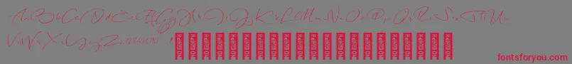 LongNightDemo Regular Font – Red Fonts on Gray Background