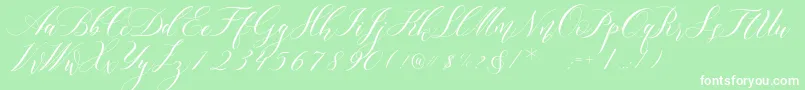 Lorriana Demo-Schriftart – Weiße Schriften auf grünem Hintergrund