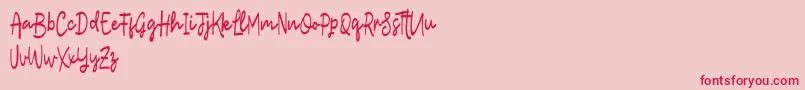 Lostera Font – Red Fonts on Pink Background