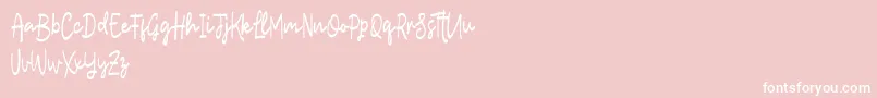 Lostera Font – White Fonts on Pink Background