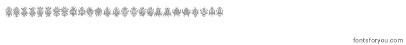 LostinSpace Font – Gray Fonts on White Background