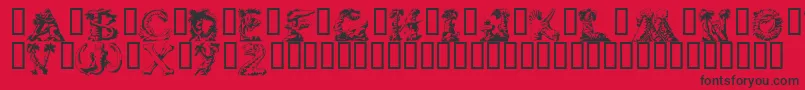 LOSTW    Font – Black Fonts on Red Background