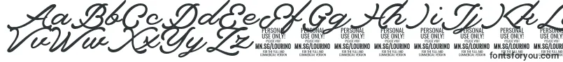 Lourino PERSONAL USE ONLY Font – Icon Fonts