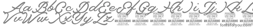 Lourino PERSONAL USE ONLY-fontti – harmaat kirjasimet valkoisella taustalla
