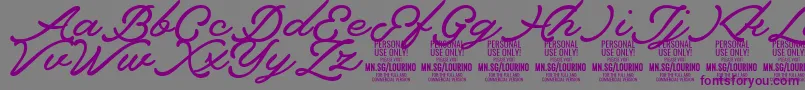 Lourino PERSONAL USE ONLY Font – Purple Fonts on Gray Background