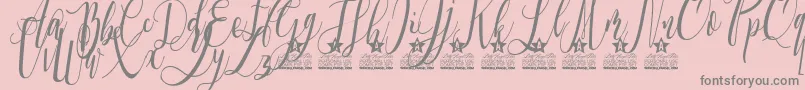 Love is the Law Personal Use Font – Gray Fonts on Pink Background