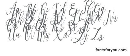 Love is the Law Personal Use Font