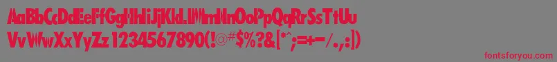 Rsfutarubold Font – Red Fonts on Gray Background