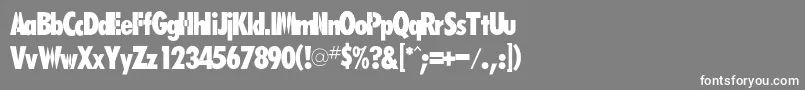 フォントRsfutarubold – 灰色の背景に白い文字
