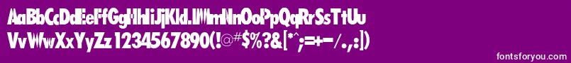 Rsfutarubold Font – White Fonts on Purple Background