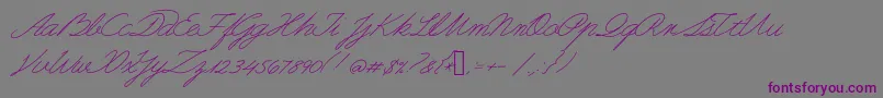Guayaquil1800-Schriftart – Violette Schriften auf grauem Hintergrund