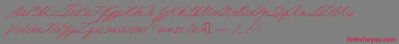 Guayaquil1800 Font – Red Fonts on Gray Background