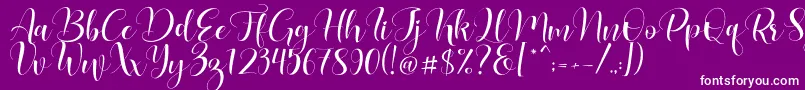 Lovea Font – White Fonts on Purple Background