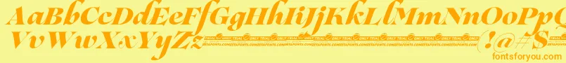 Lovelace Script Extrabold trial Font – Orange Fonts on Yellow Background