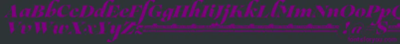 Шрифт Lovelace Script Extrabold trial – фиолетовые шрифты на чёрном фоне