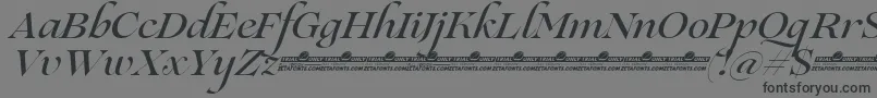 フォントLovelace Script Medium trial – 黒い文字の灰色の背景