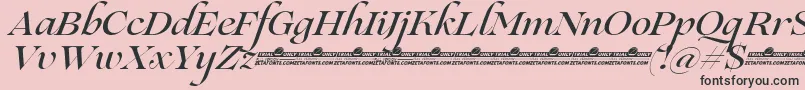 Police Lovelace Script Medium trial – polices noires sur fond rose