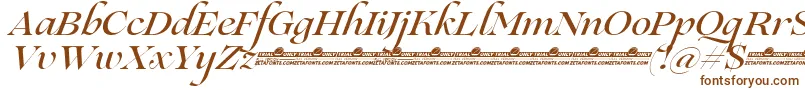 Lovelace Script Medium trial-fontti – ruskeat fontit valkoisella taustalla