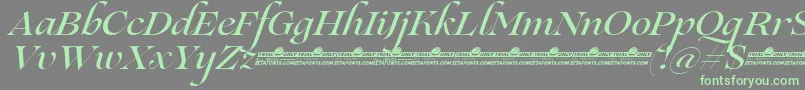 fuente Lovelace Script Medium trial – Fuentes Verdes Sobre Fondo Gris