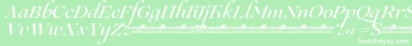 fuente Lovelace Script Medium trial – Fuentes Blancas Sobre Fondo Verde