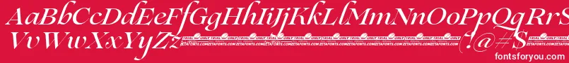 Lovelace Script Medium trial Font – White Fonts on Red Background