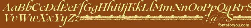 Czcionka Lovelace Script Medium trial – żółte czcionki na brązowym tle