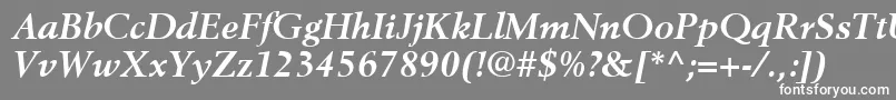 BerlingLtBoldItalic Font – White Fonts on Gray Background