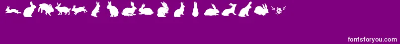 lprabbits1 Font – White Fonts on Purple Background