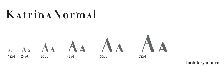 Размеры шрифта KatrinaNormal