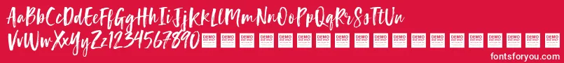 Lucky Turns   Demo Font – White Fonts on Red Background