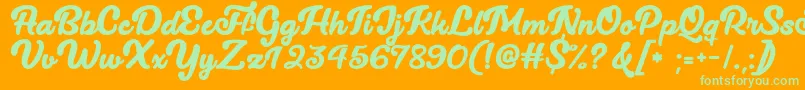 Lucy The Cat   Font – Green Fonts on Orange Background