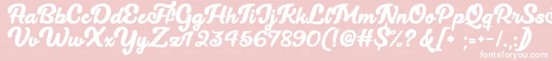 Lucy The Cat   Font – White Fonts on Pink Background