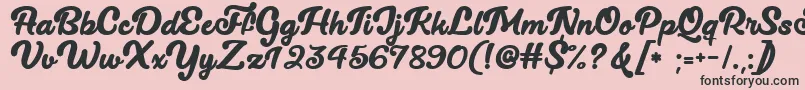 Lucy The Cat   Font – Black Fonts on Pink Background