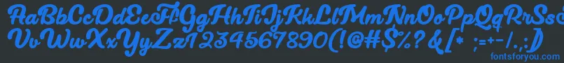 Lucy The Cat   Font – Blue Fonts on Black Background