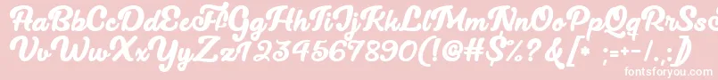 Lucy The Cat   Font – White Fonts on Pink Background