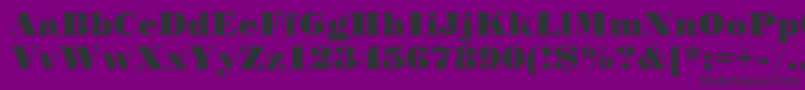 StandardposterCyrillic Font – Black Fonts on Purple Background