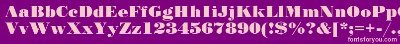 StandardposterCyrillic Font – Pink Fonts on Purple Background
