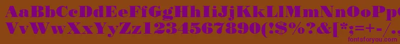 StandardposterCyrillic-fontti – violetit fontit ruskealla taustalla